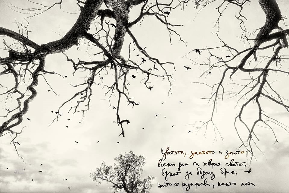 Земя и любов - Маргарита Серафимова