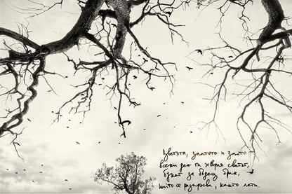 Земя и любов - Маргарита Серафимова